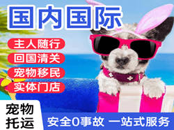 临沂航空货运国际宠物托运 【国